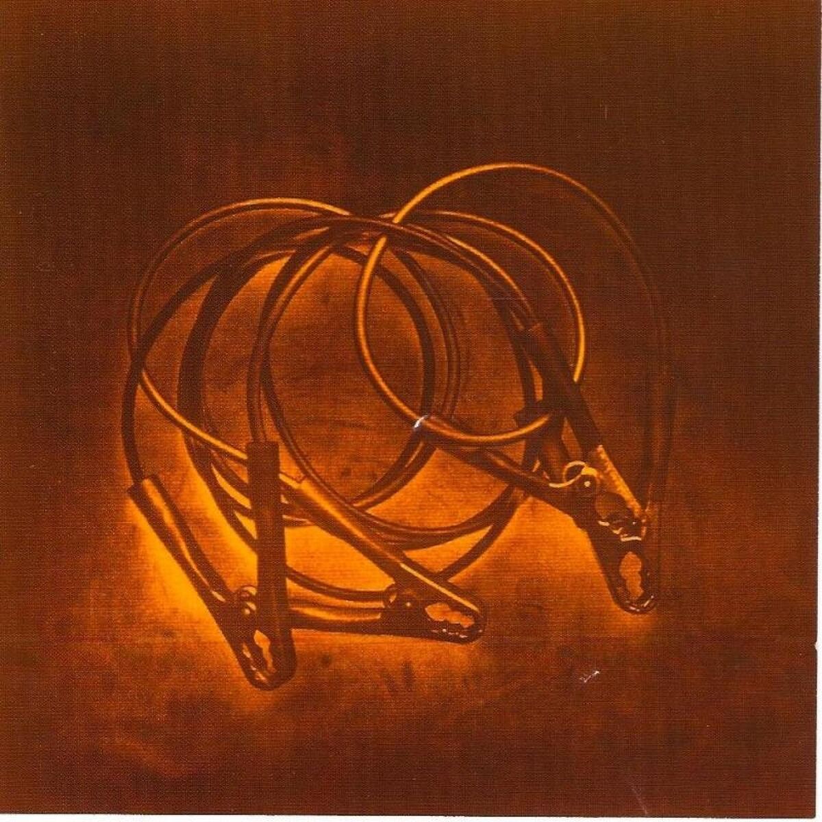 Album cover of Bumblehaun