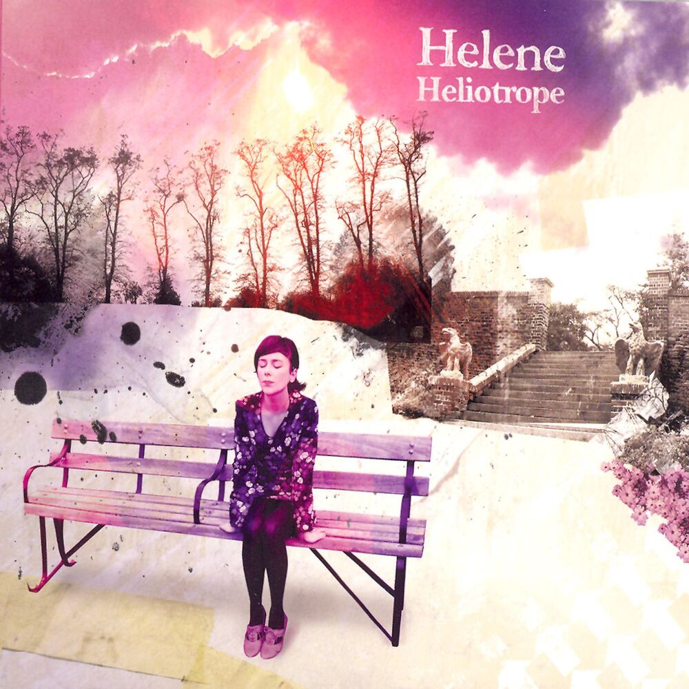 Picture of Heliotrope