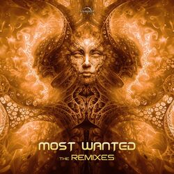 Cover of The Remixes