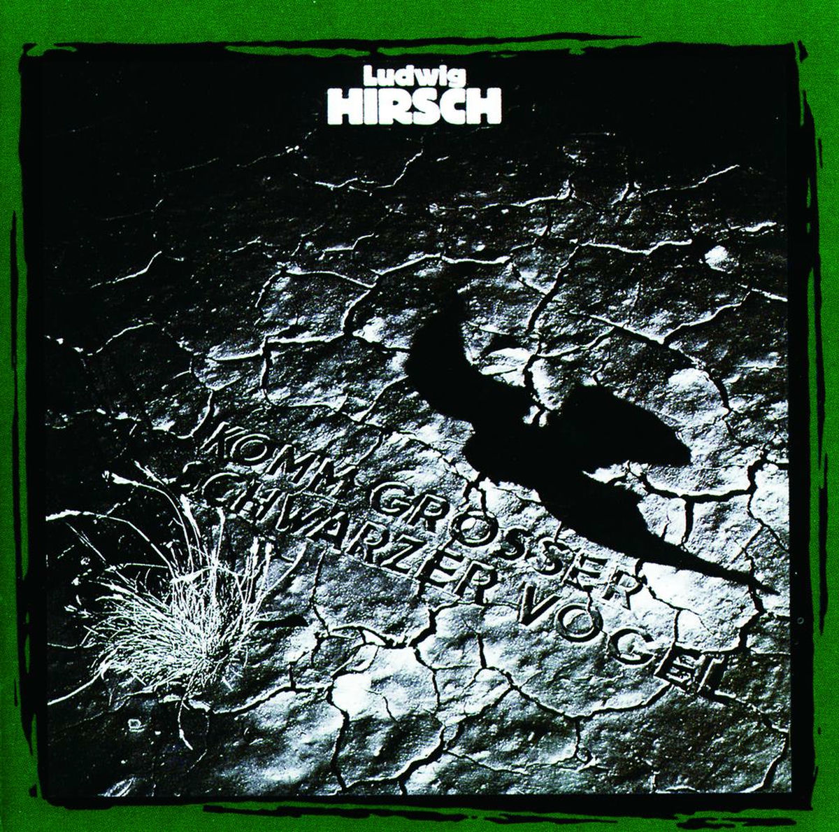 Album cover of Komm grosser schwarzer Vogel