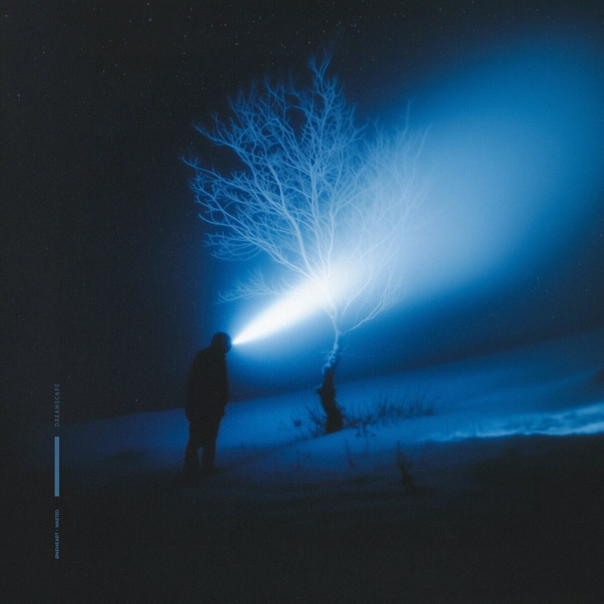 Album cover of wasted nights