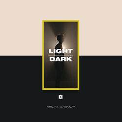 Cover of Light / Dark