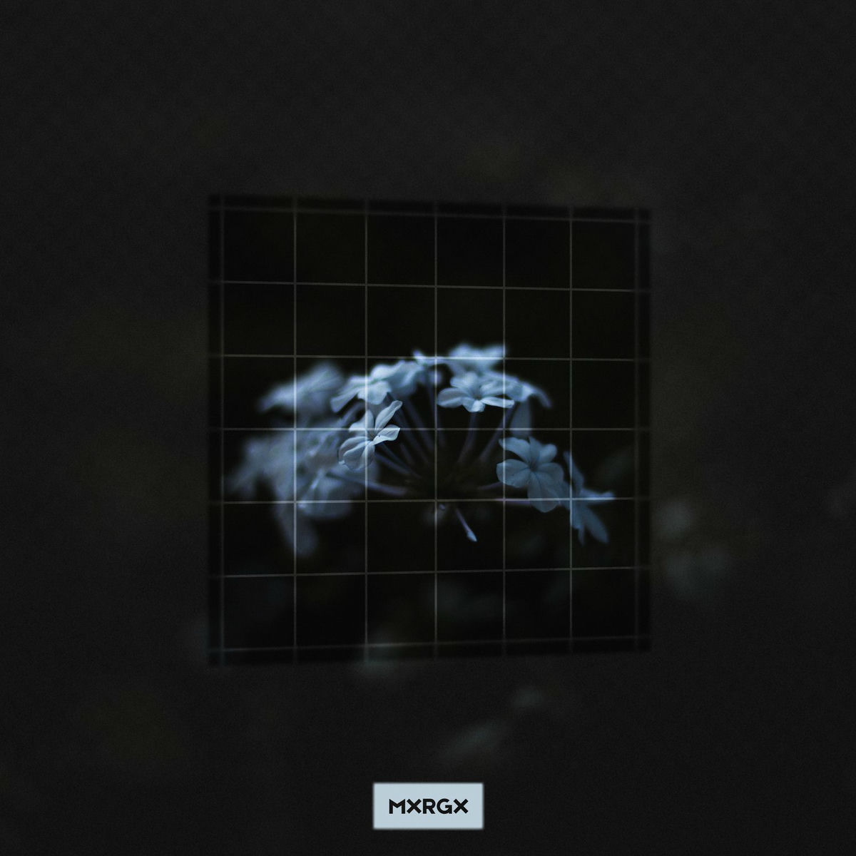 Album cover of Bløøm