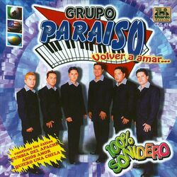 Cover of Volver A Amar