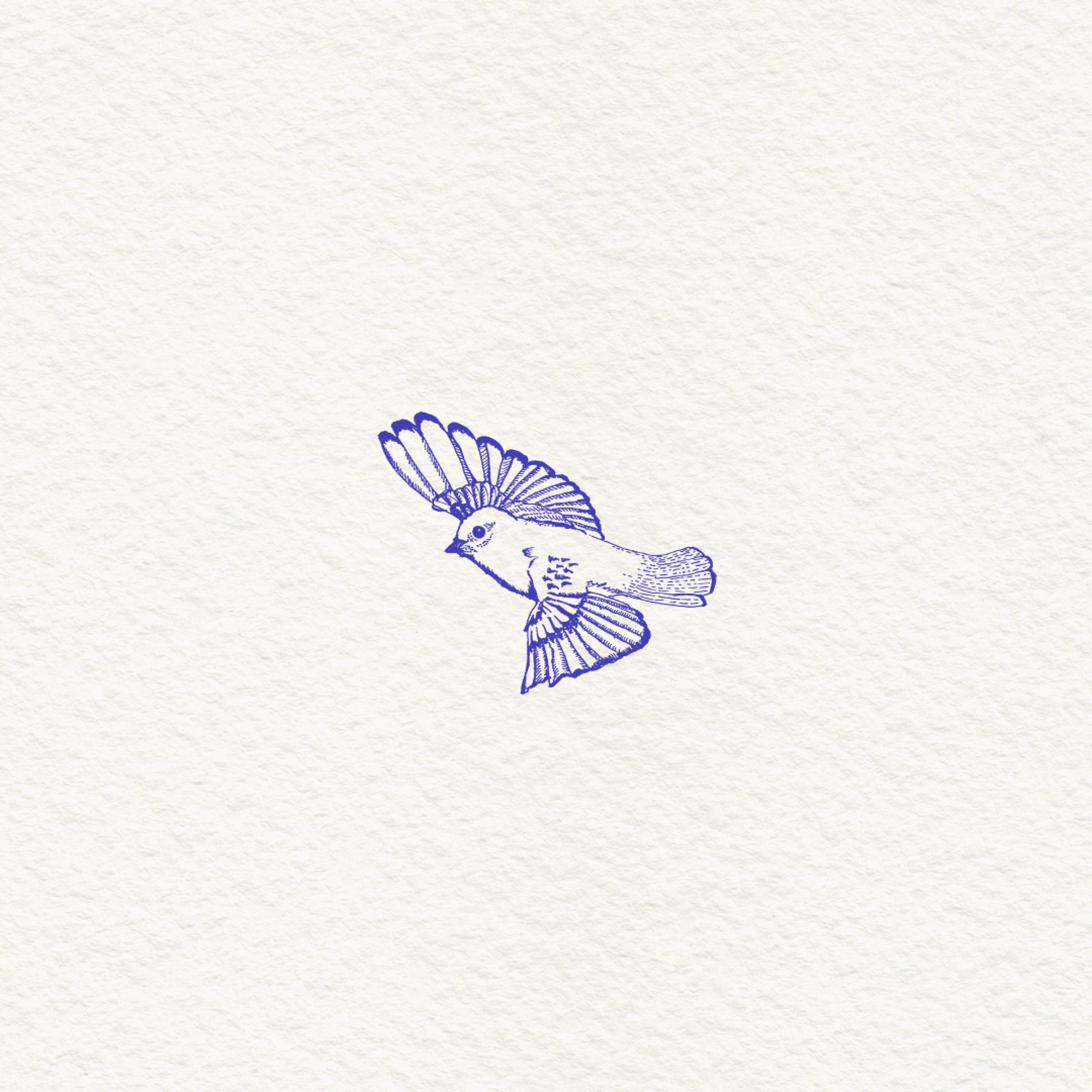 Album cover of Blue bird (feat. Tali Golergant) (feat. TALI)