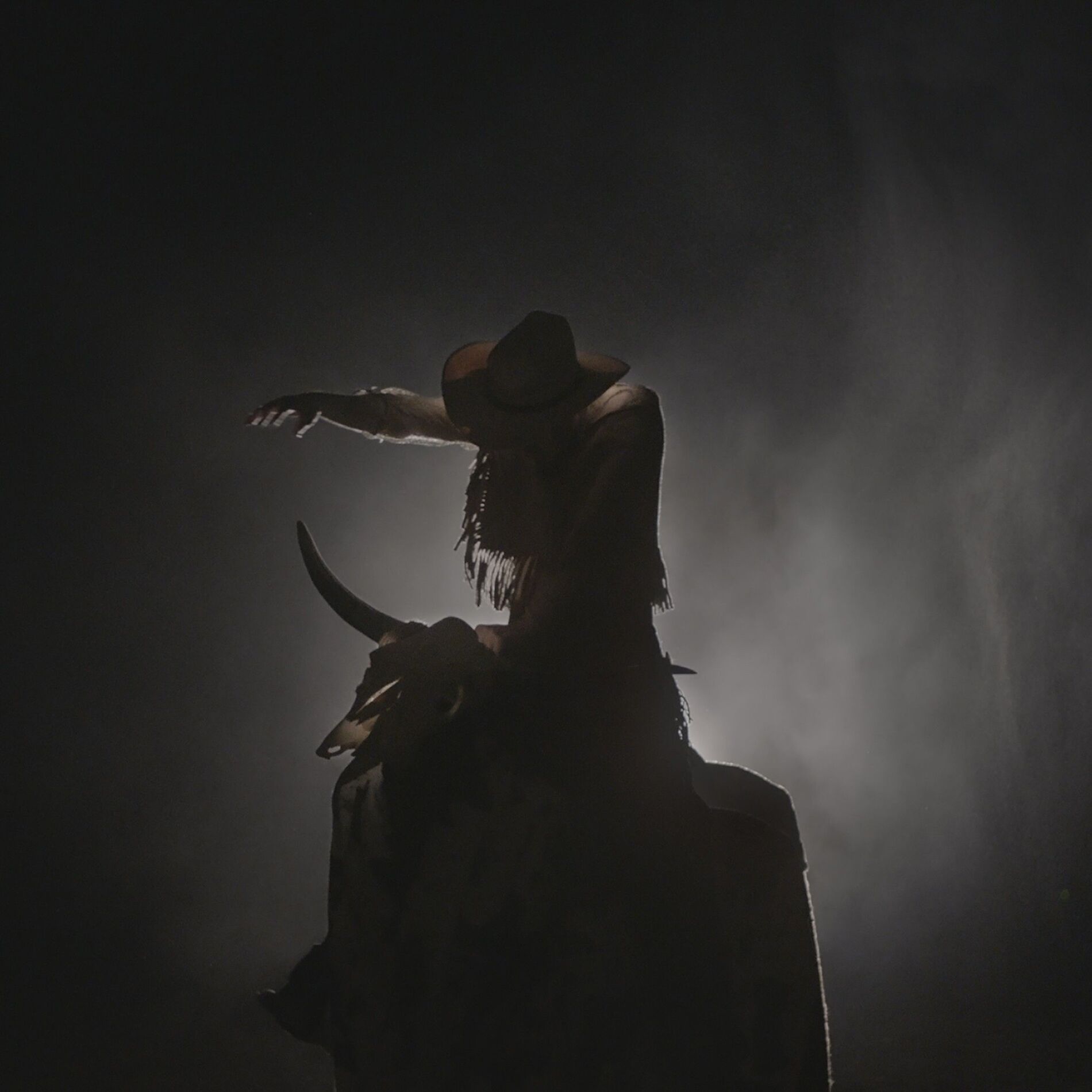 Album cover of Cowgirl