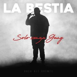 Cover of Solo senza Gang