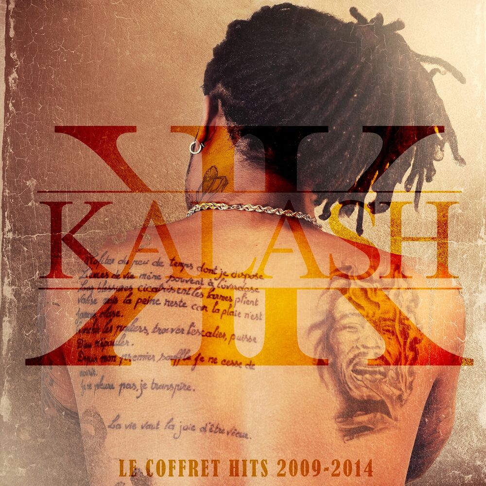 Picture of Le coffret hits 2009-2014