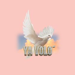Cover of YA VOLÓ