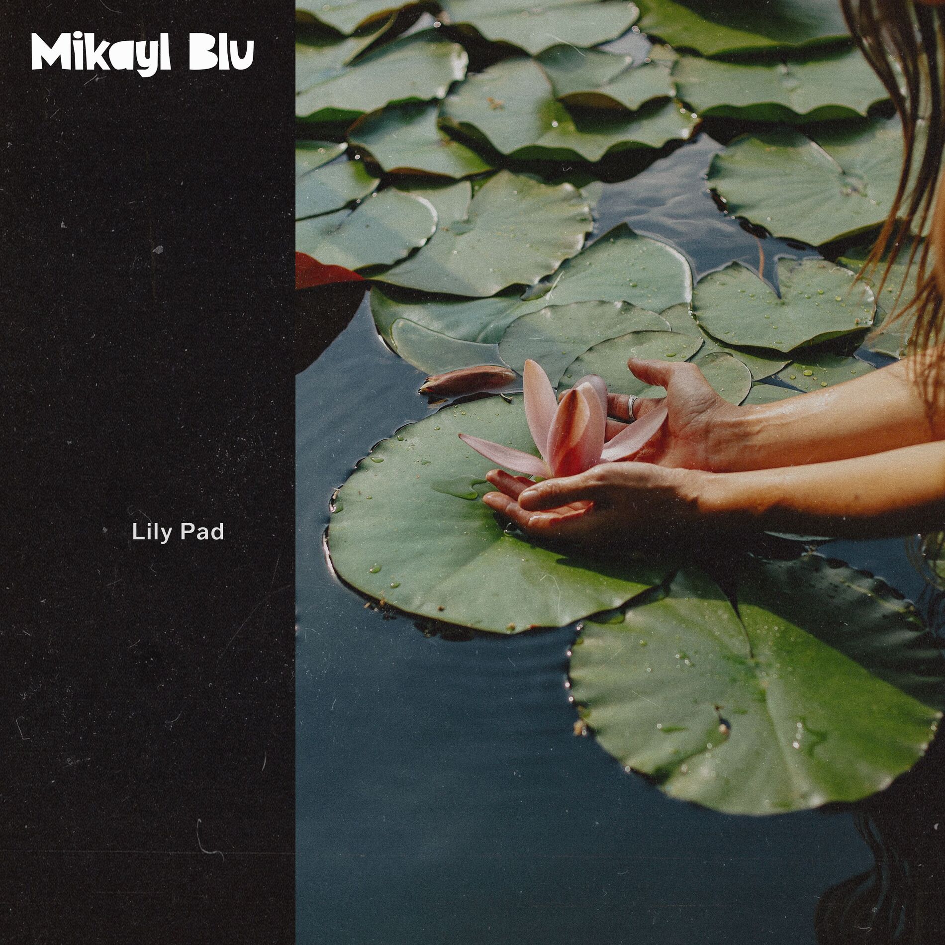 Album cover of Lily Pad