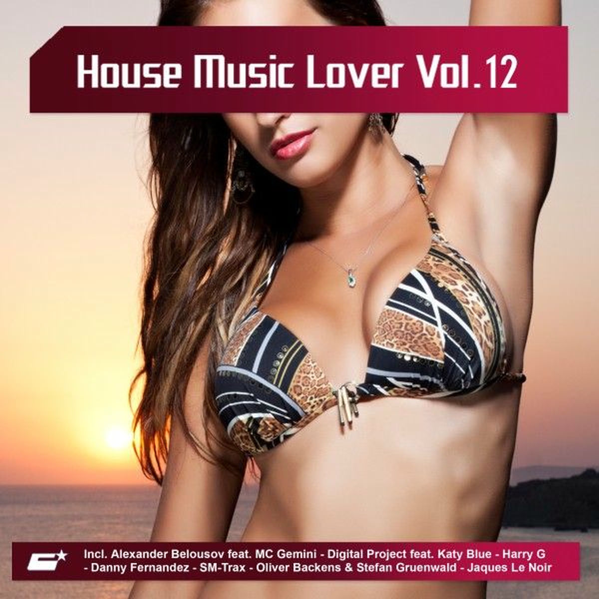 Album cover of House Music Lover, Vol. 12