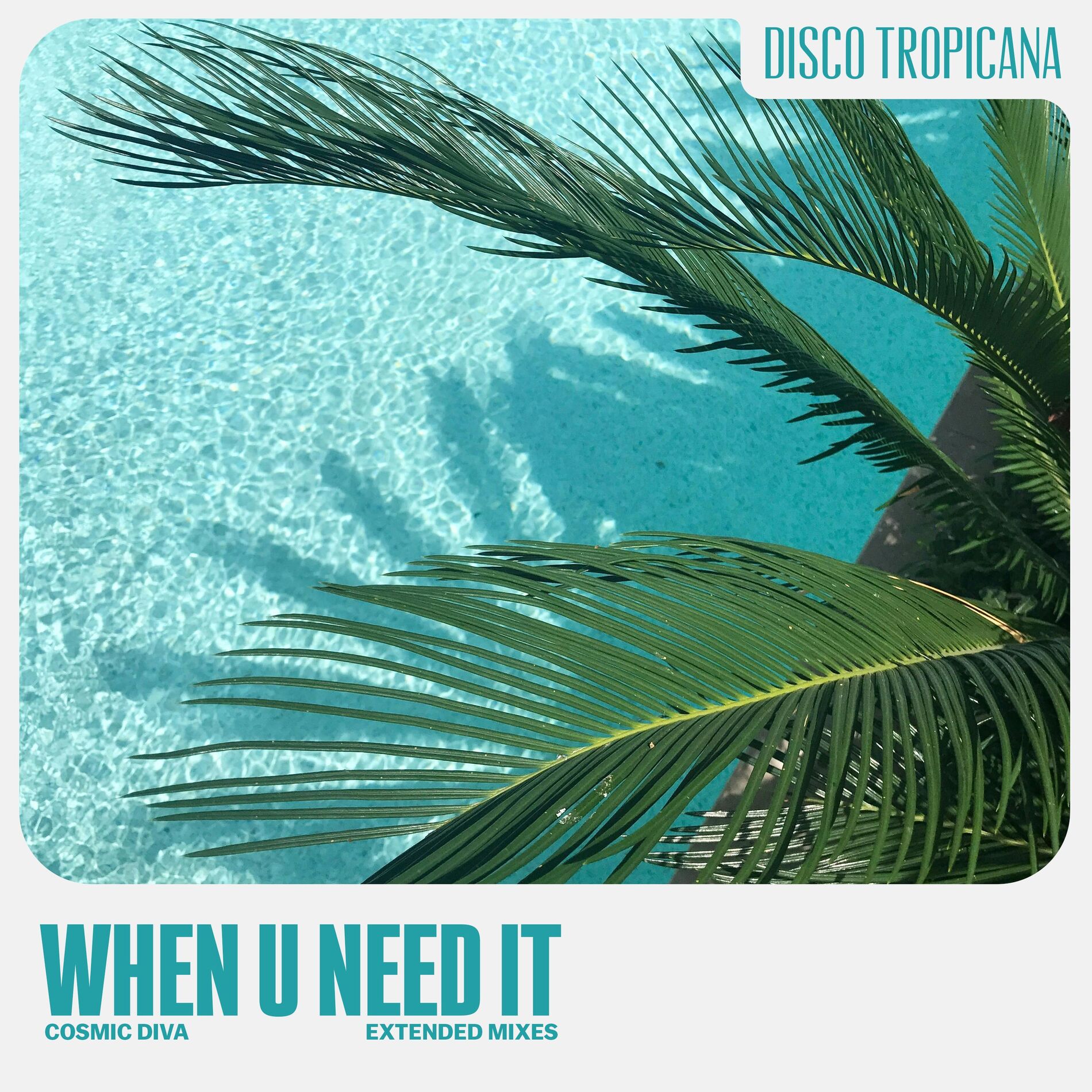 Album cover of When U Need It (Extended Mixes)