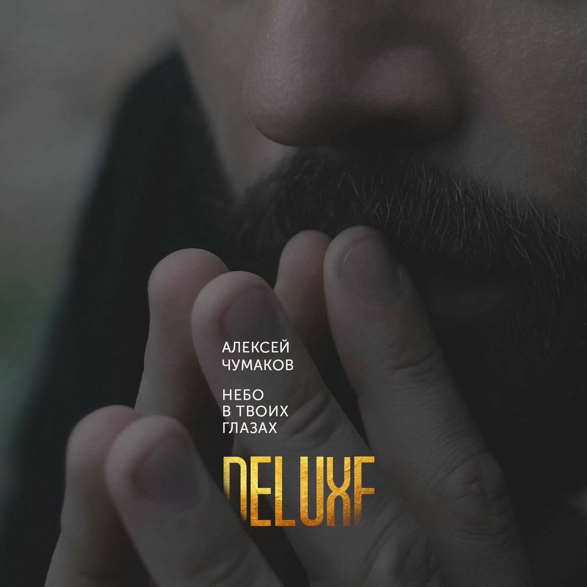 Album cover of Небо в твоих глазах (Deluxe Version)