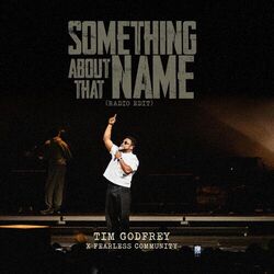 Cover of Something About That Name (Radio Edit)