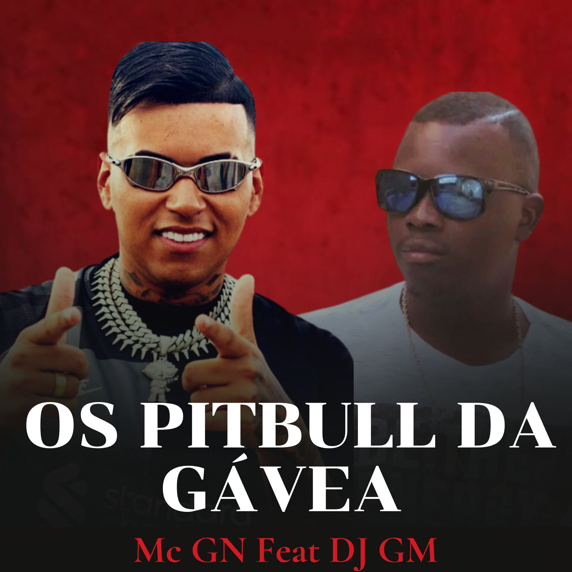 Album cover of Os Pitbull Da Gavea