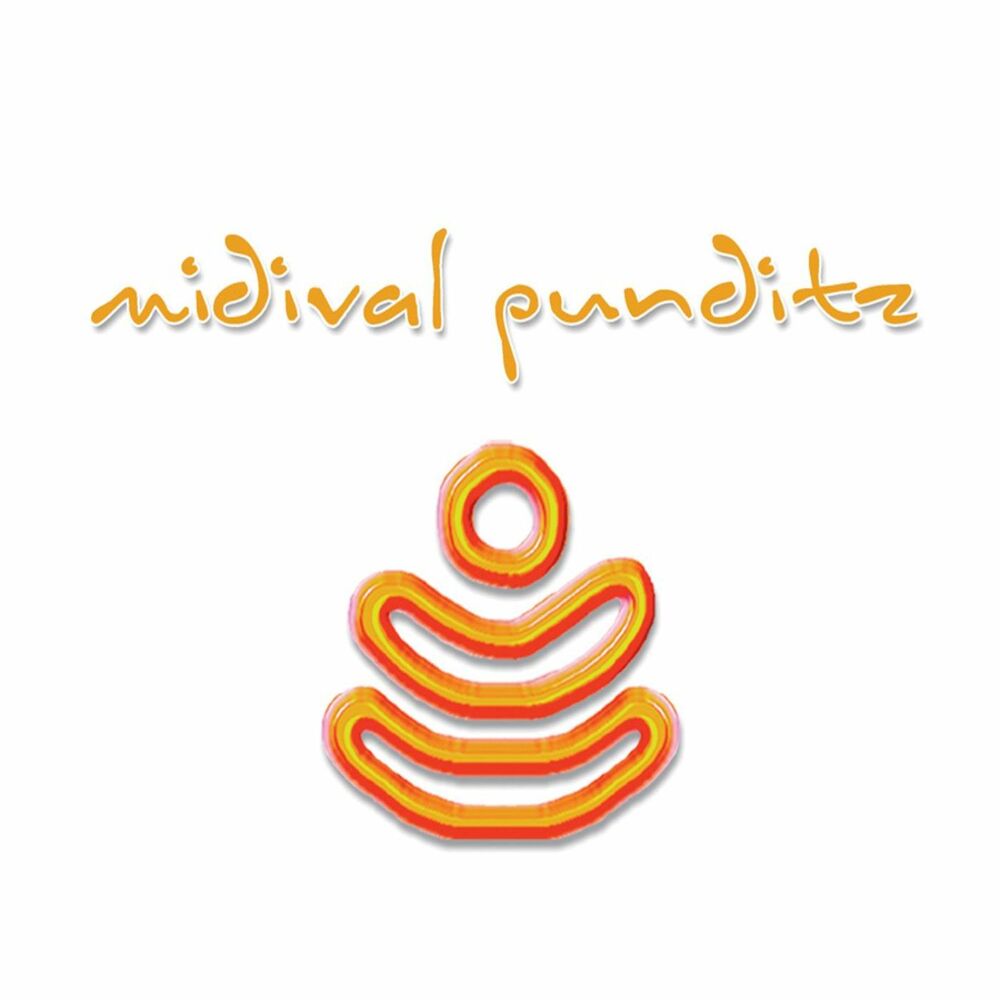 Picture of MIDIval PunditZ