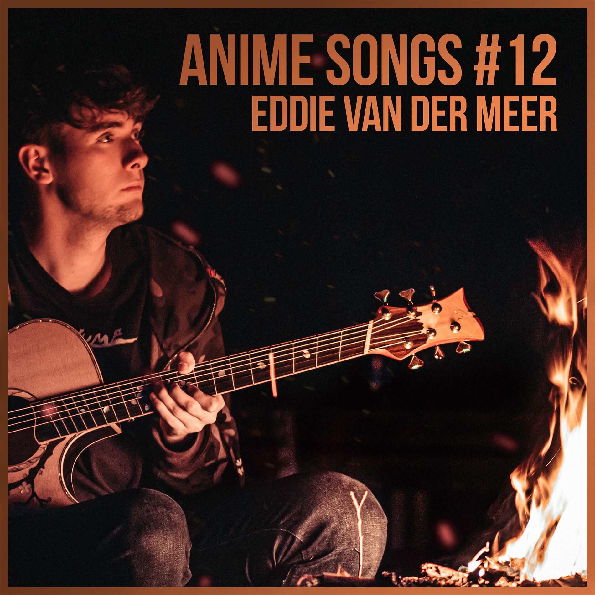 Album cover of Anime Songs #12