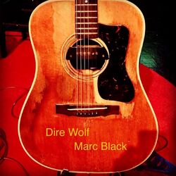 Cover of Dire Wolf