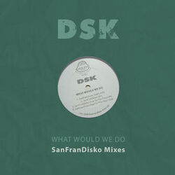 Cover of What Would We Do - Sanfrandisko Mixes