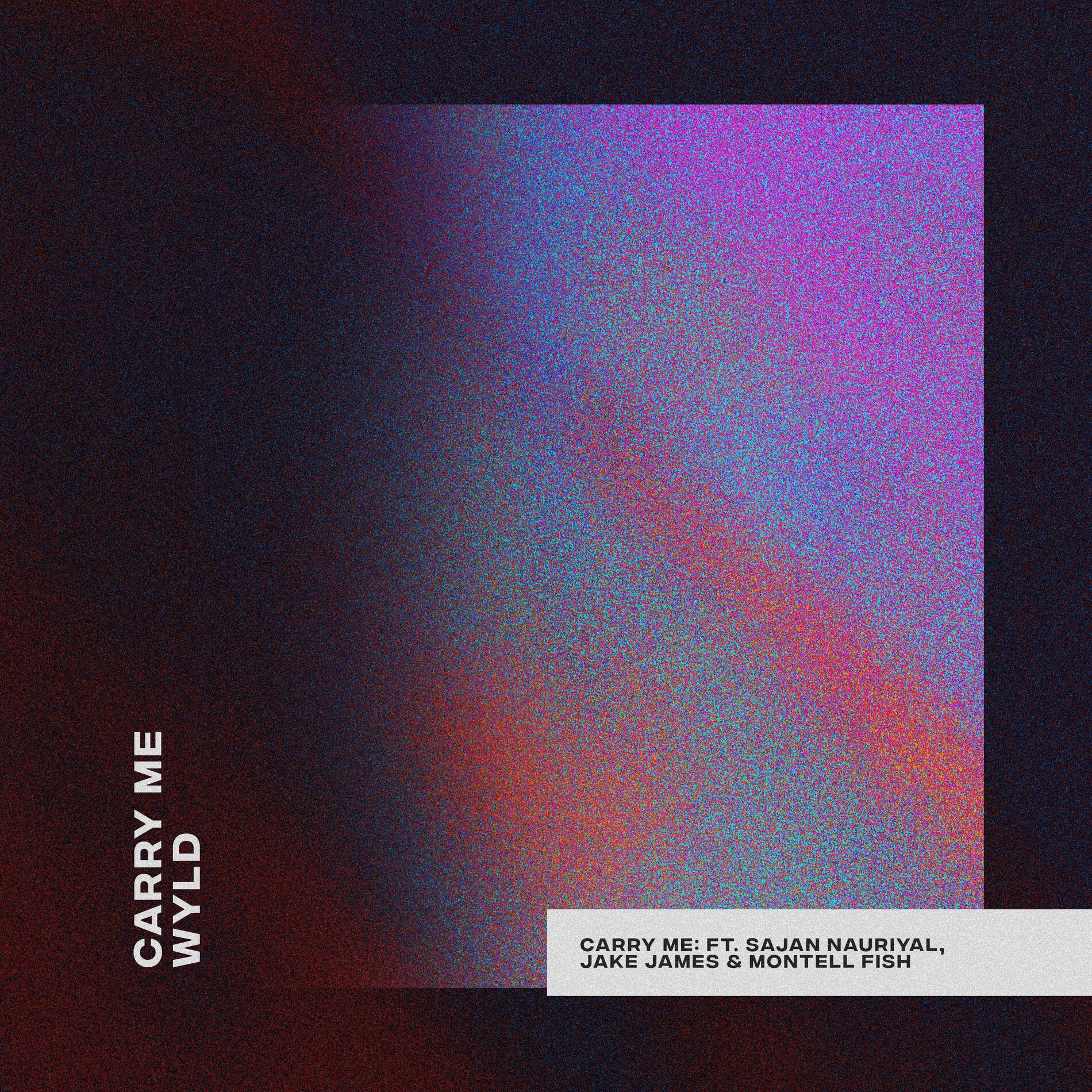 Album cover of Carry Me (feat. Sajan Nauriyal, Jake James & Montell Fish)