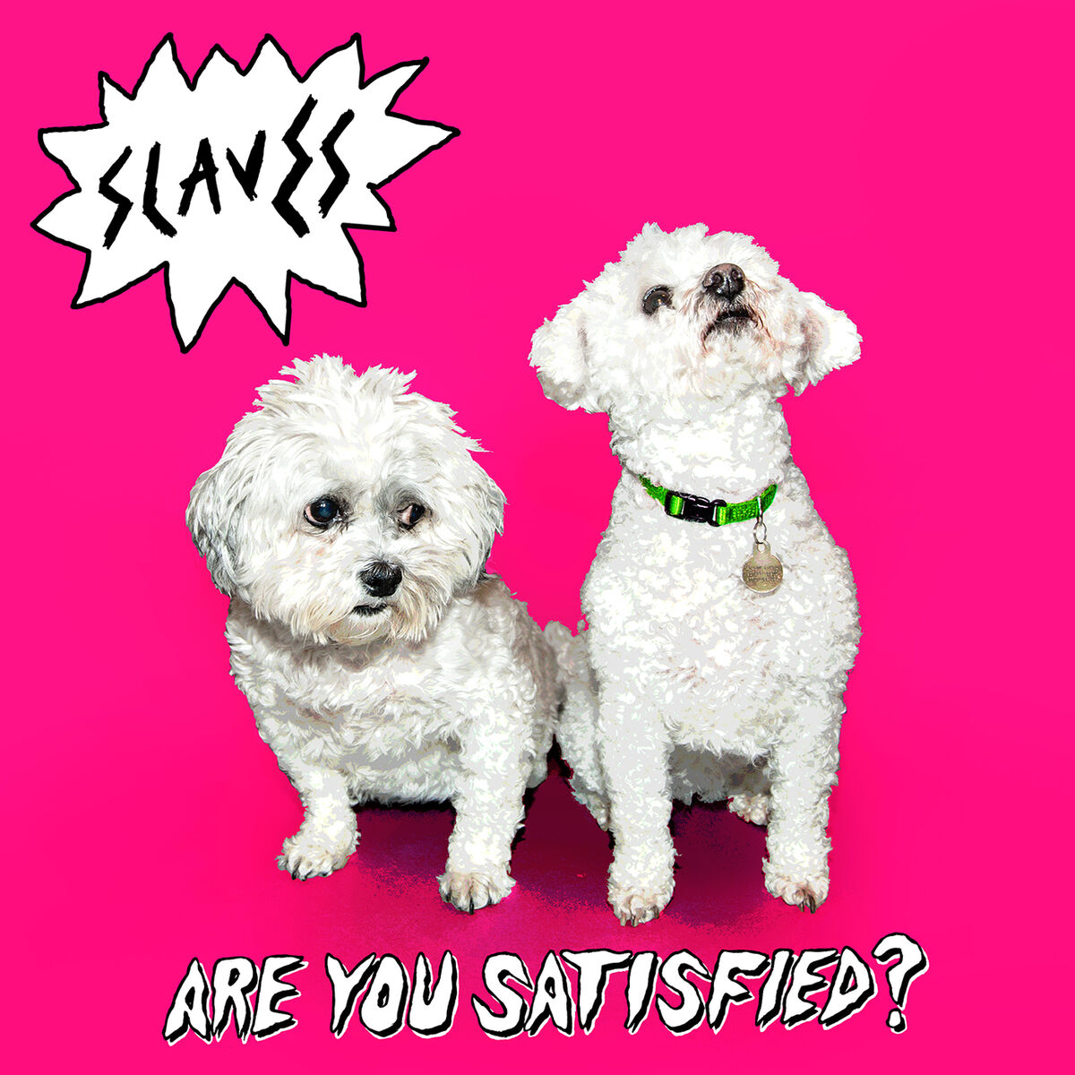Album cover of Live Like An Animal