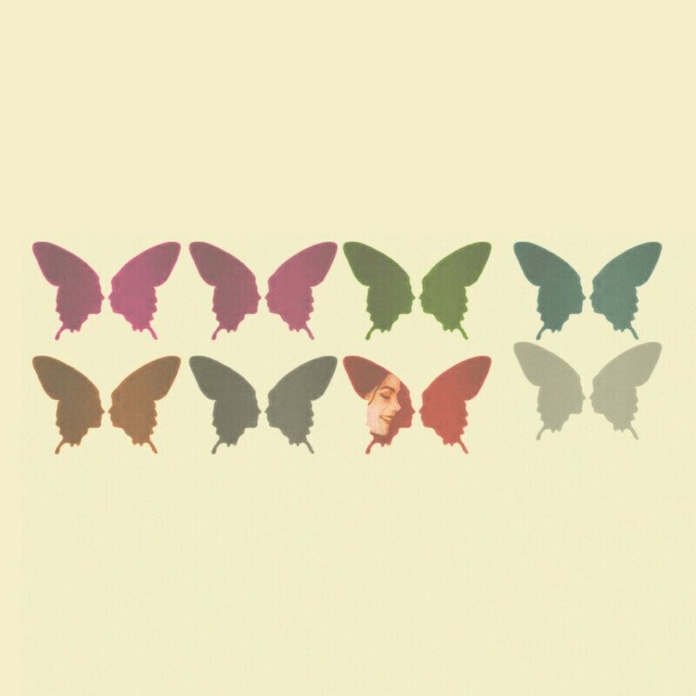 Picture of Flybutter