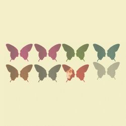 Cover of Flybutter