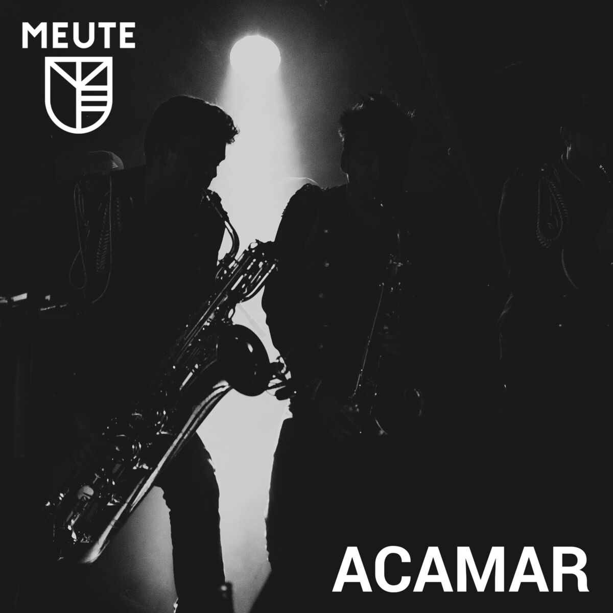 Album cover of Acamar