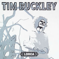 ◾️アシッドフォーク名盤■TIM BUCKLEY■ティムバックリィ■ The D ◾️アシッドフォーク名盤□TIM BUCKLEY□ティムバックリィ