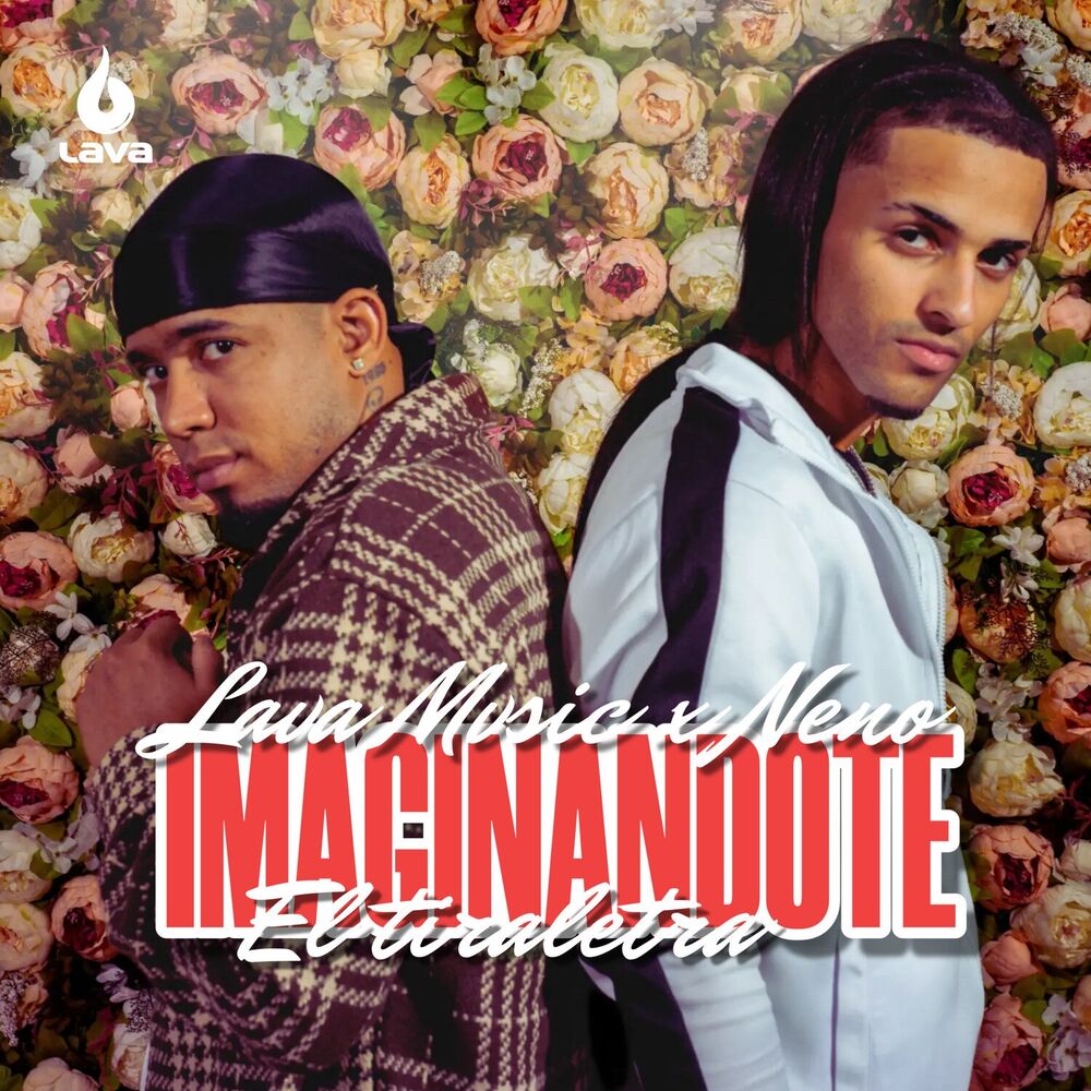 Picture of Imaginándote