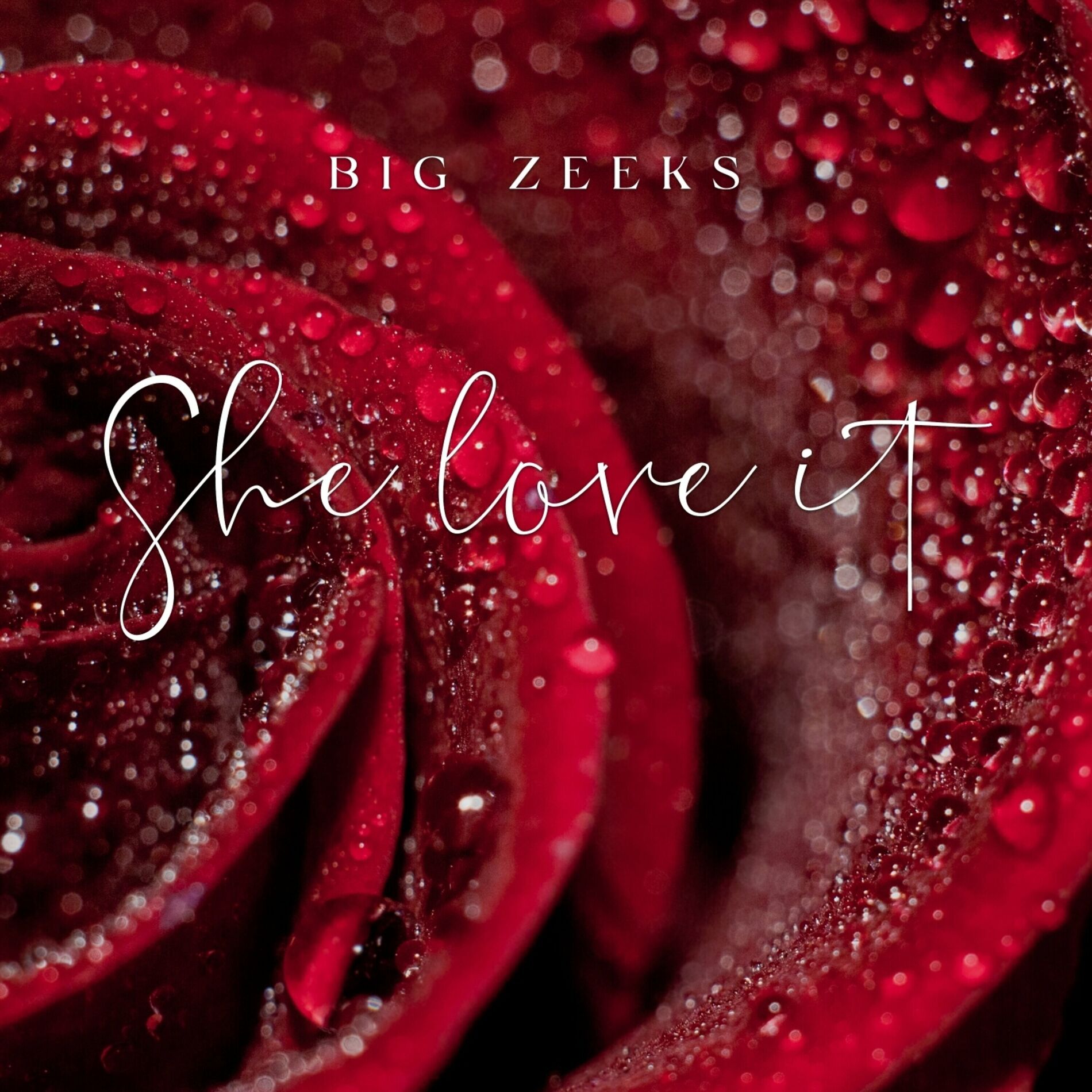Album cover of She Love It