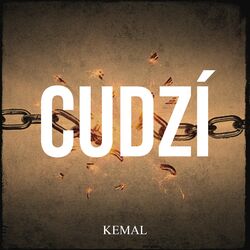 Cover of Cudzí