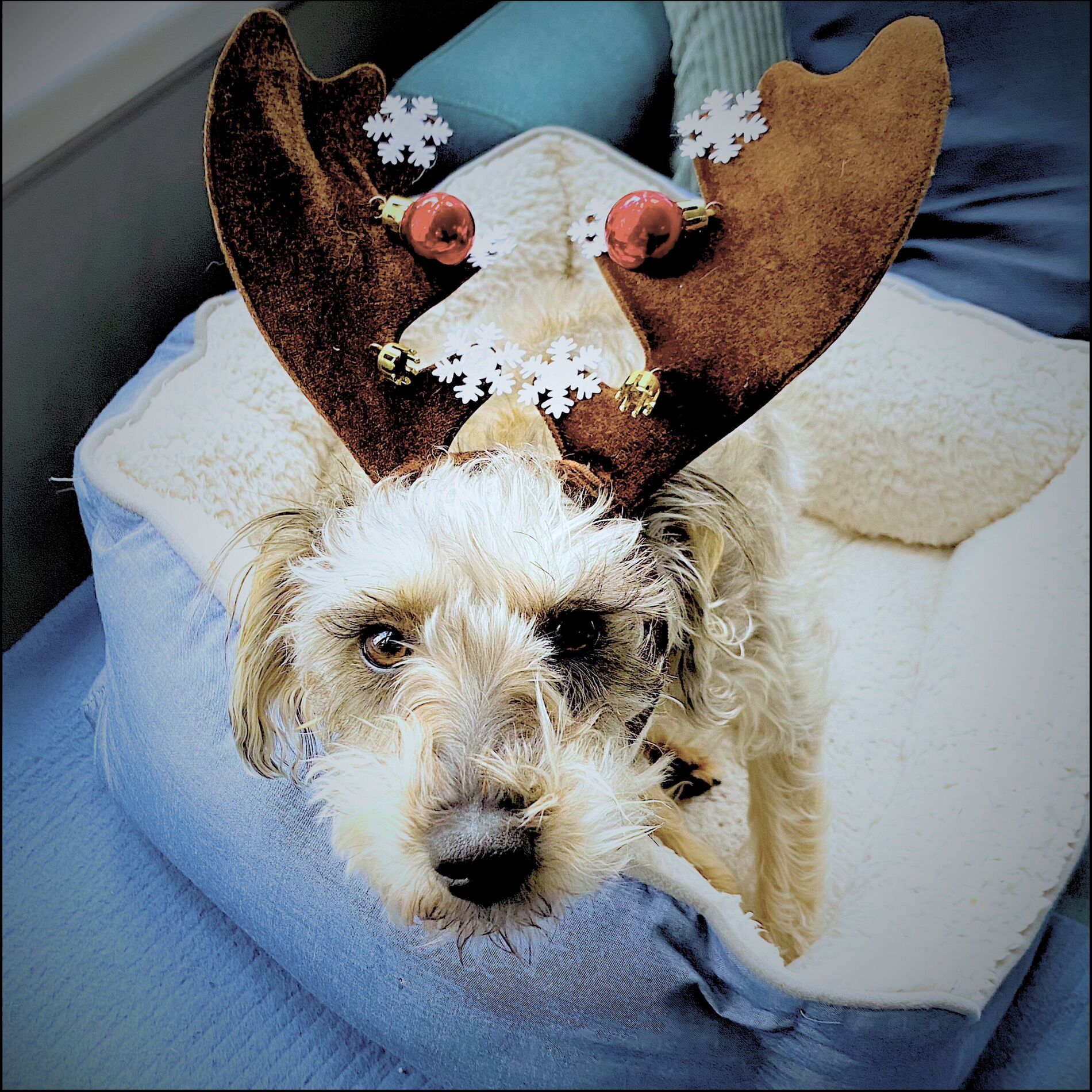 Album cover of I've Got My Love to Keep Me Warm