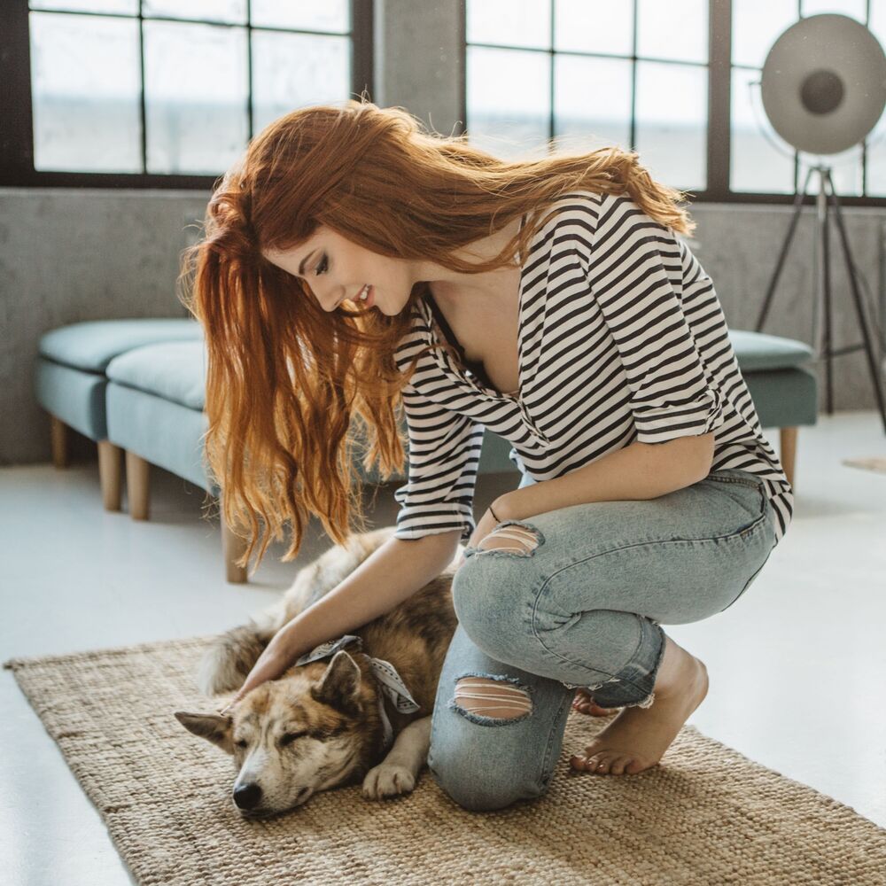 Picture of Ocean Zenful Nature Tails: Meditative Chill for Peaceful Pet Interactions