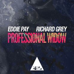 Cover of Professional Widow