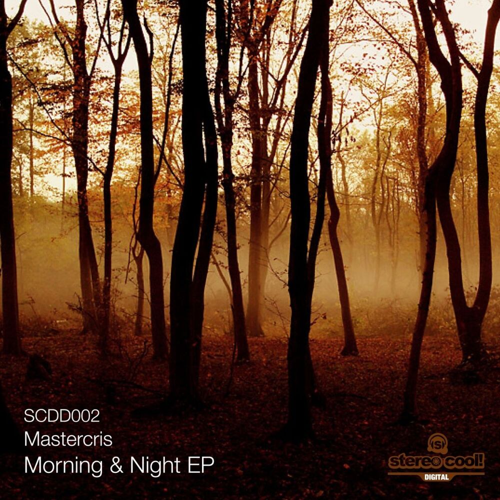 Picture of Morning And Night EP