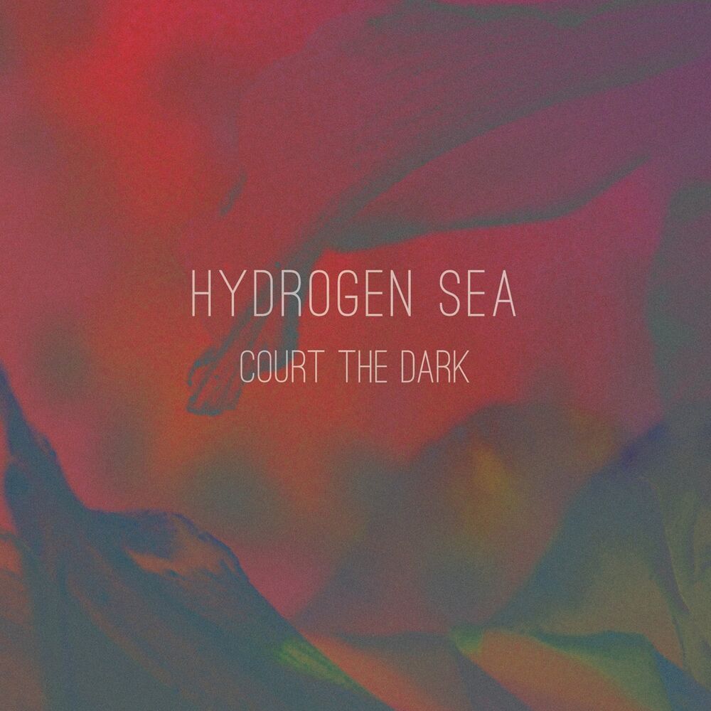 Picture of Court The Dark