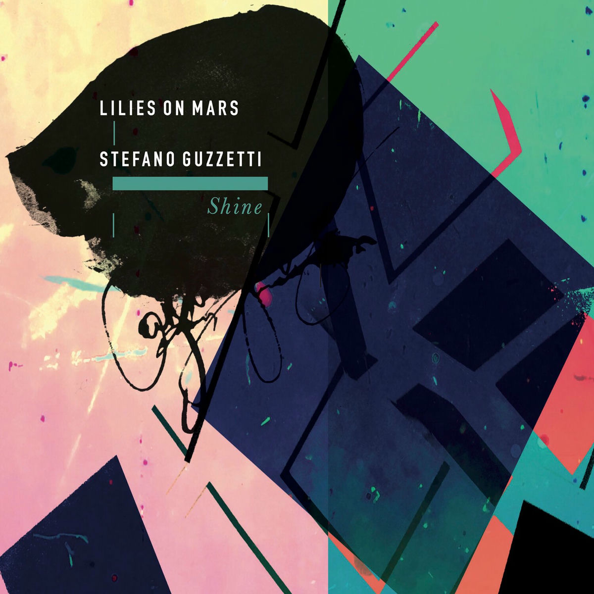 Album cover of Shine