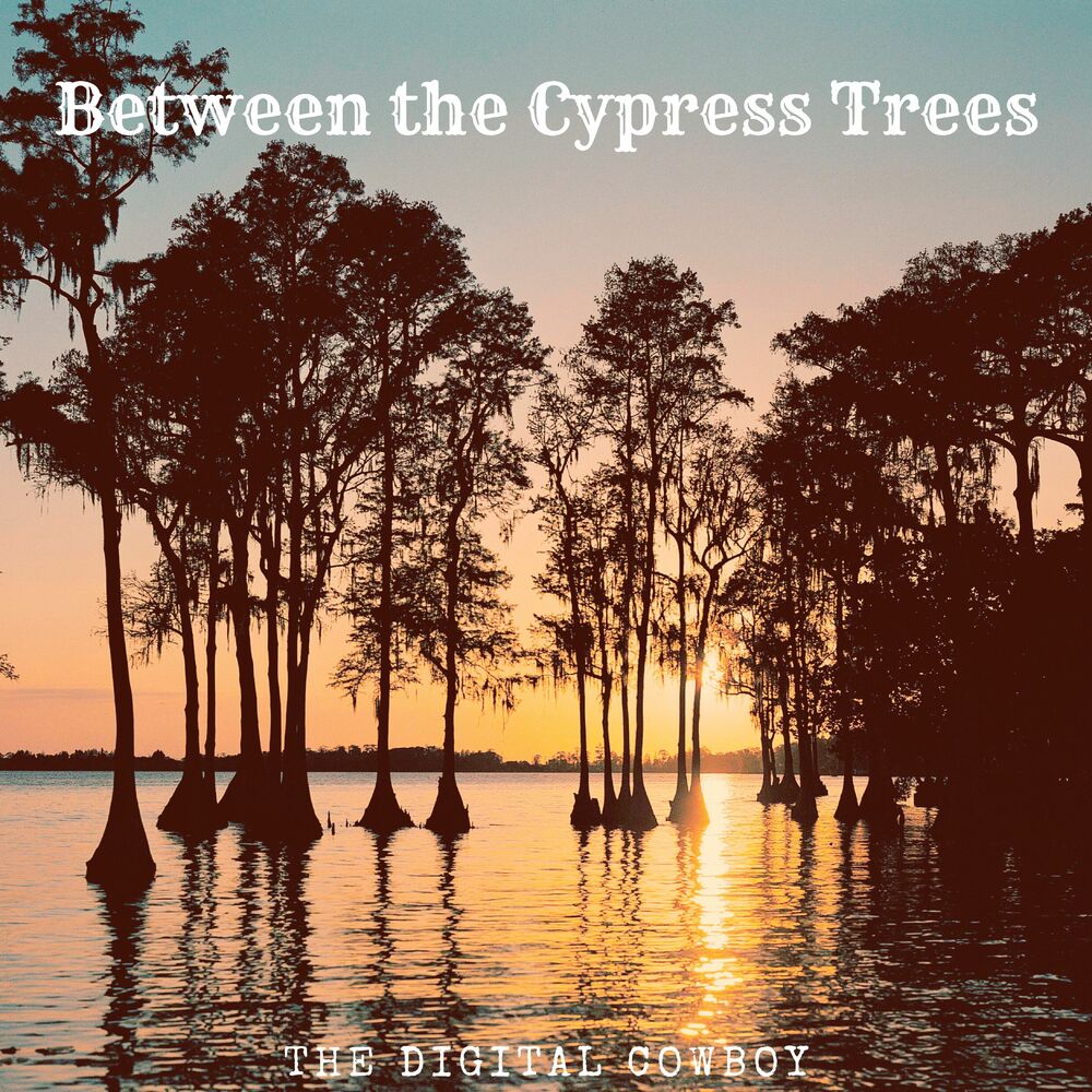 Picture of Between the Cypress Trees