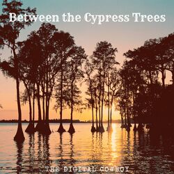 Cover of Between the Cypress Trees