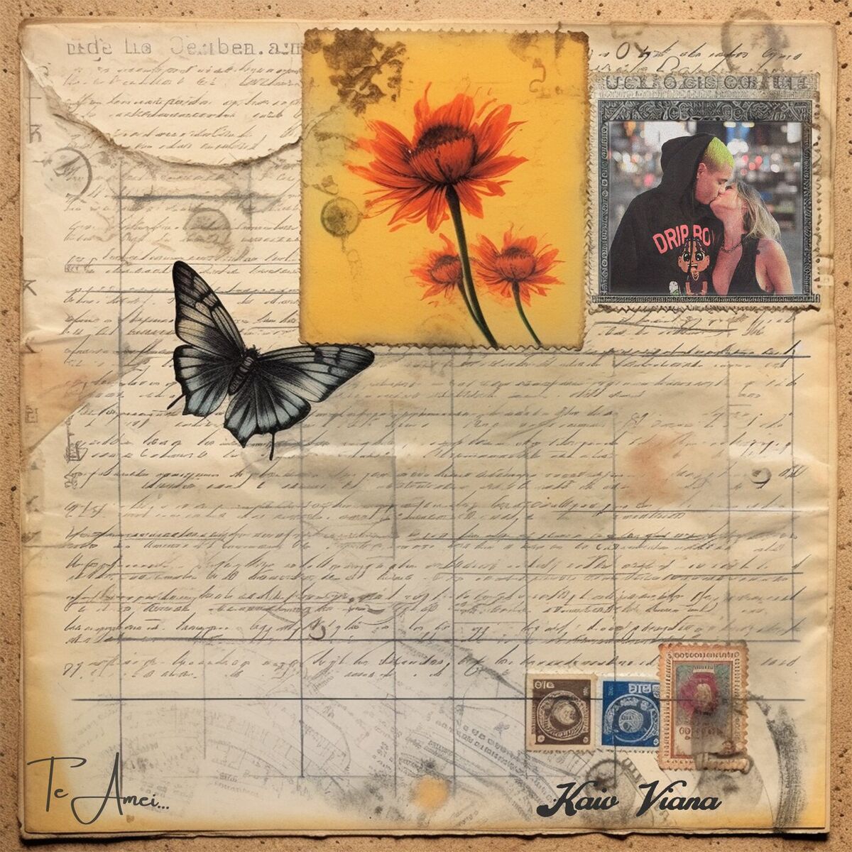 Album cover of Te Amei