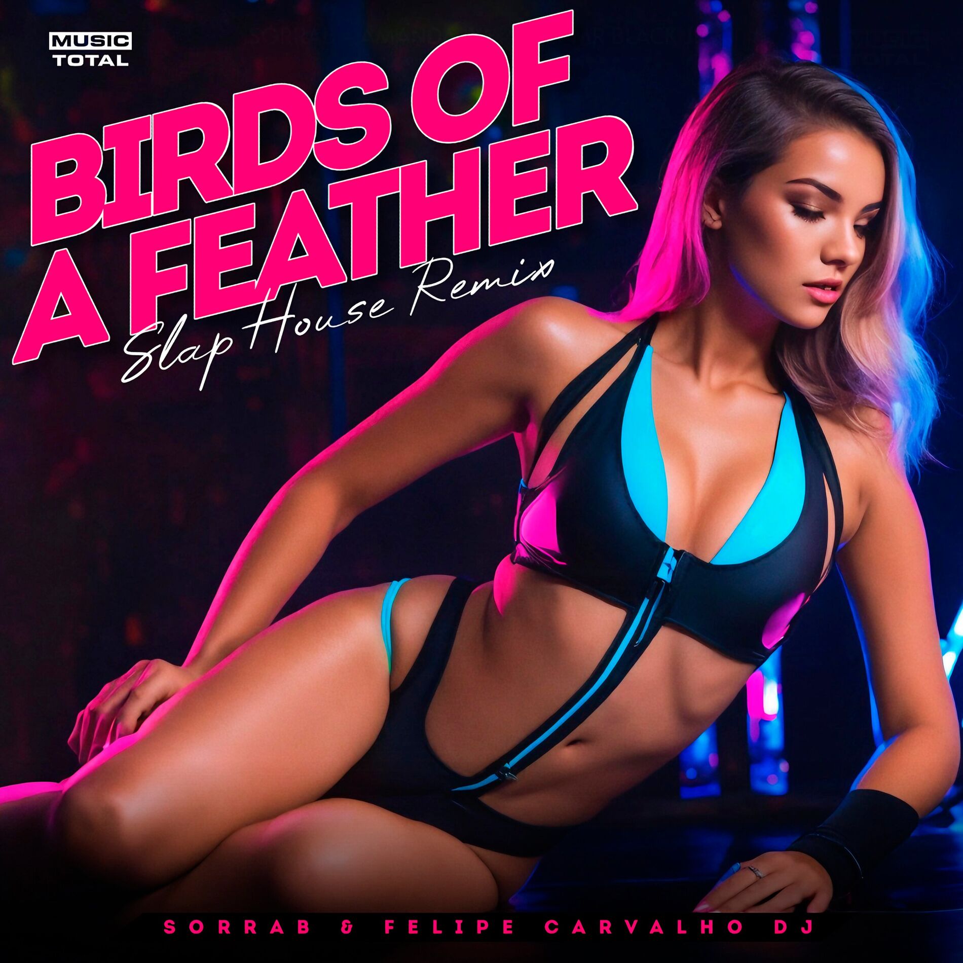 Album cover of Birds Of A Feather (Slap House Remix)