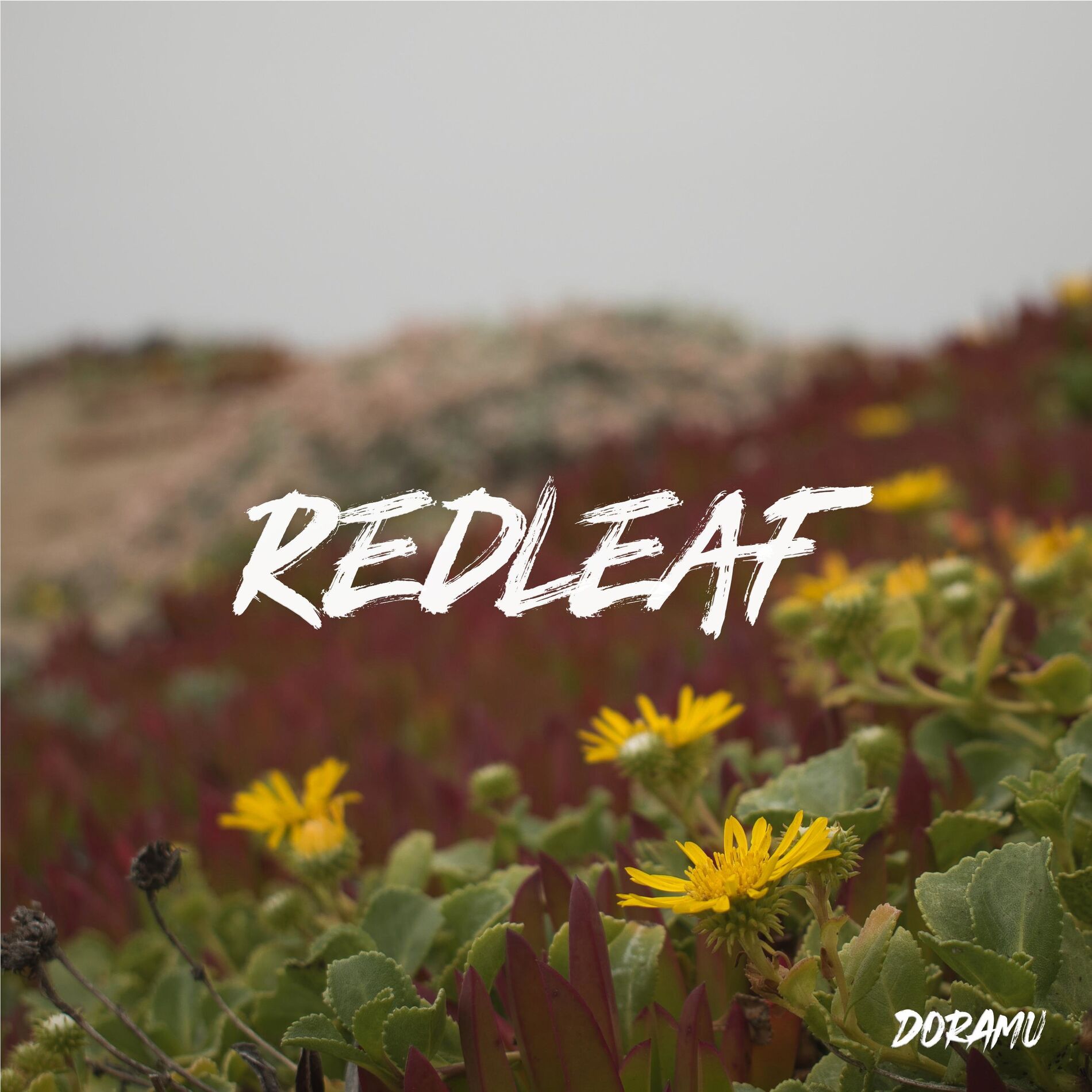Doramu albums songs playlists Deezer