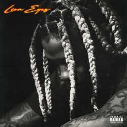 Cover of Lion Eyes