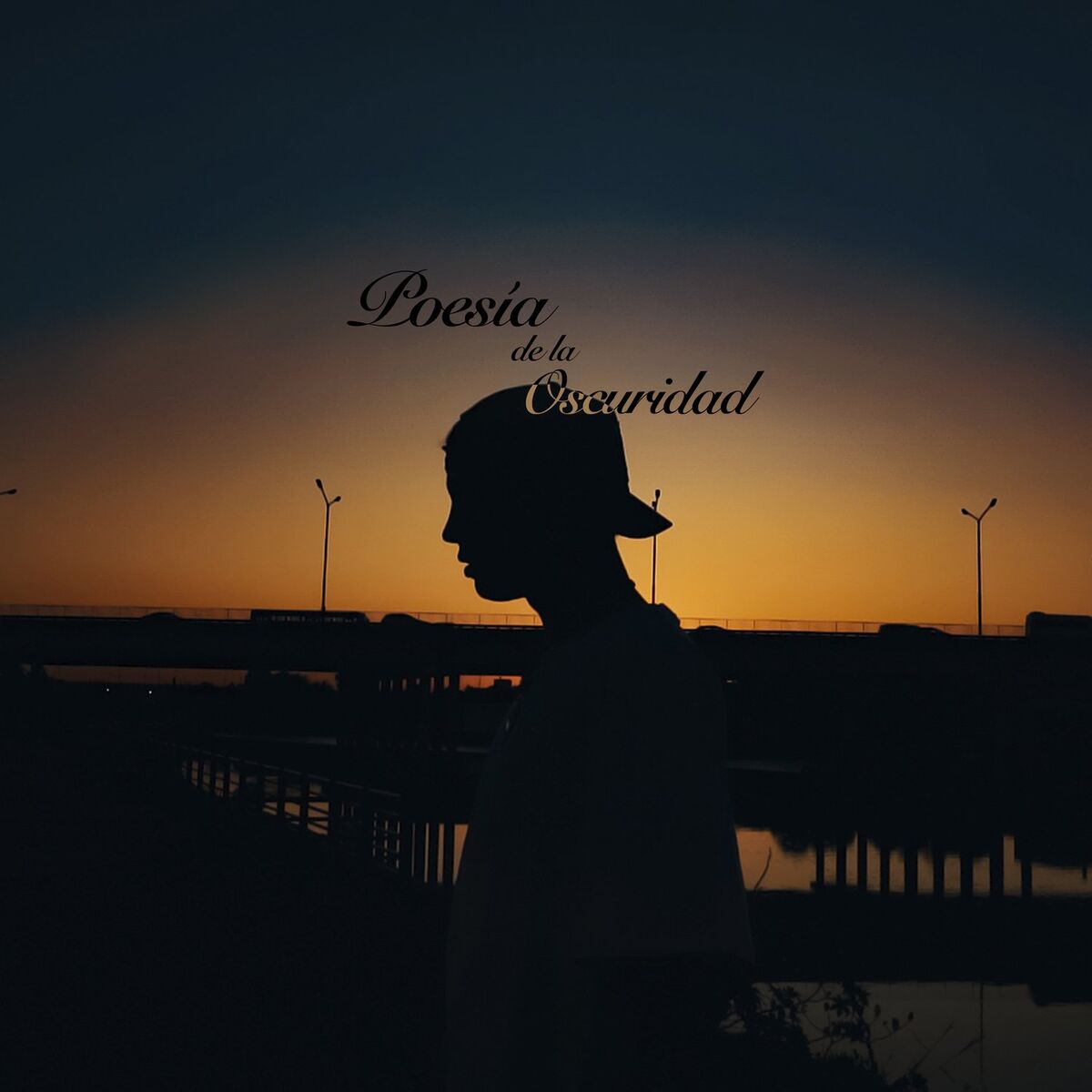 Album cover of Poesia de la Oscuridad