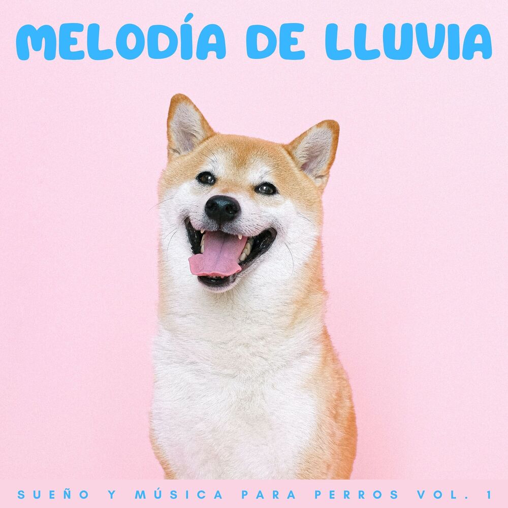 Picture of Melodía De Lluvia: Sueño Y Música Para Perros Vol. 1