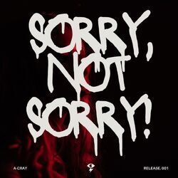 Cover of Sorry, Not Sorry!