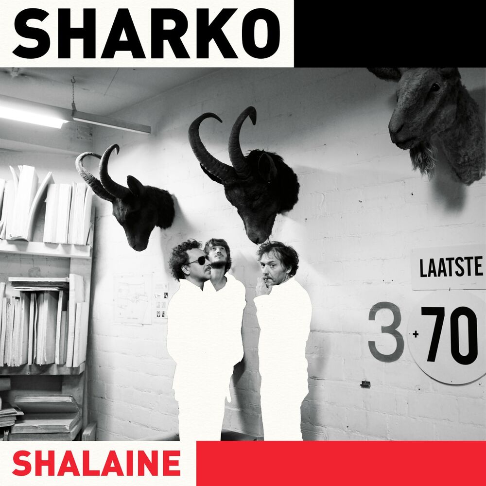 Picture of Shalaine