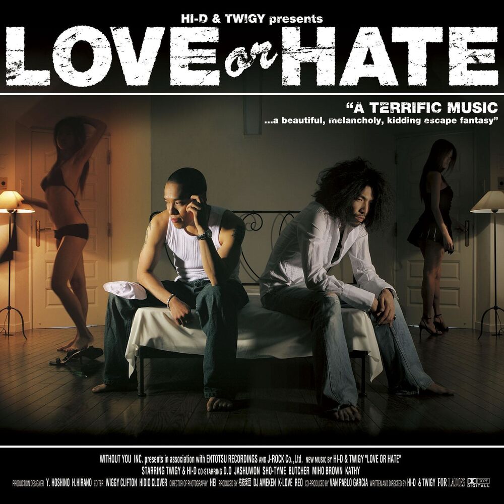 Picture of Love Or Hate