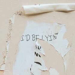 Cover of I'd Be Lying